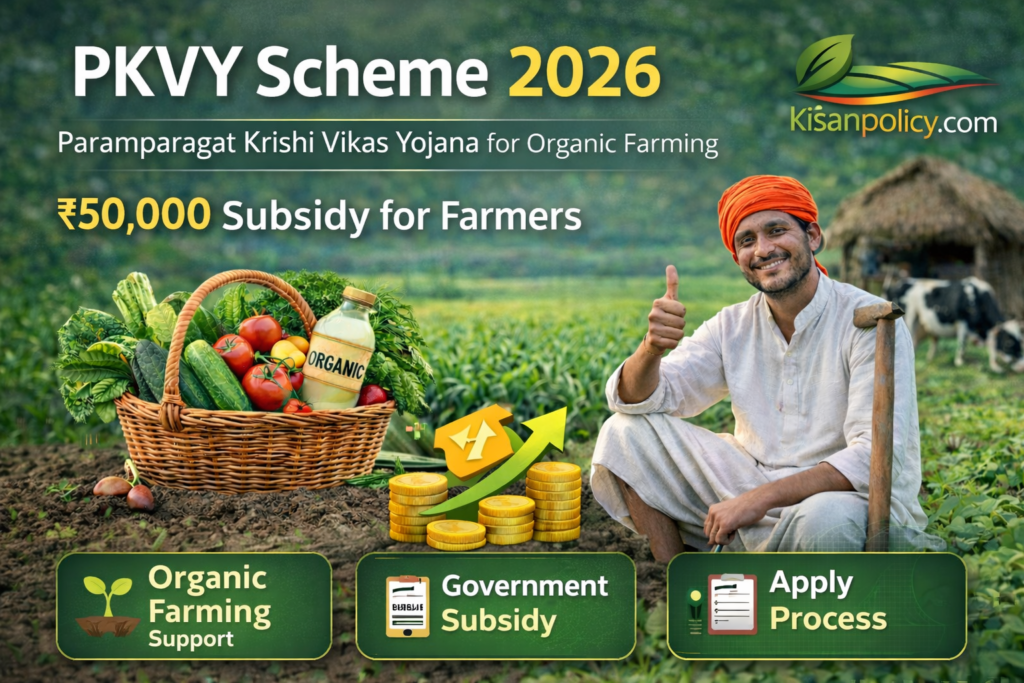 PKVY Scheme 2026 featured image showing farmer in field with organic vegetables and ₹50,000 subsidy information for Paramparagat Krishi Vikas Yojana on kisanpolicy.com
