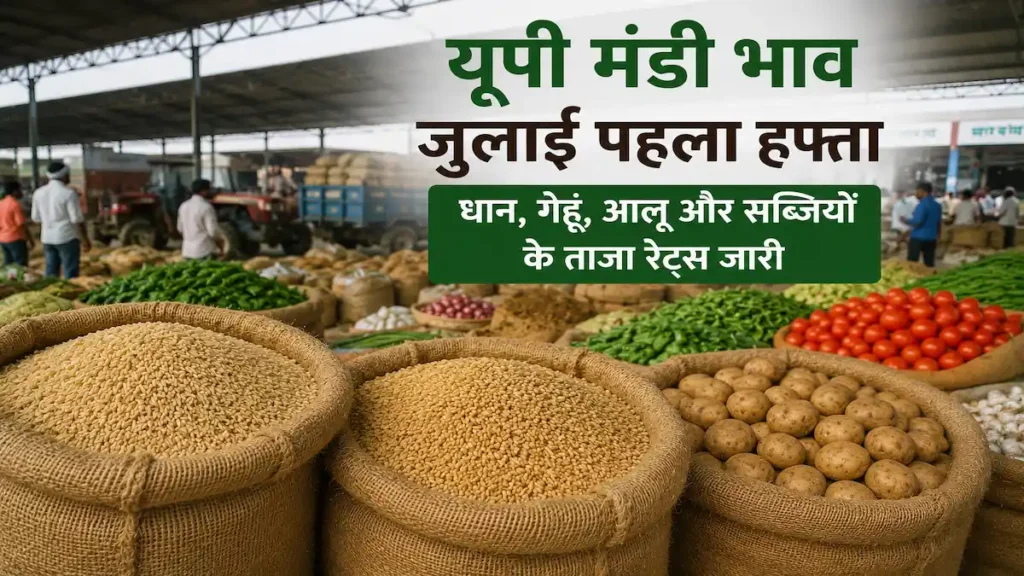 यूपी मंडी भाव जुलाई पहला हफ्ता